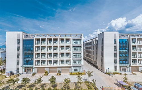 芒市产业园区 向改革创新要动力，提升管理服务效能